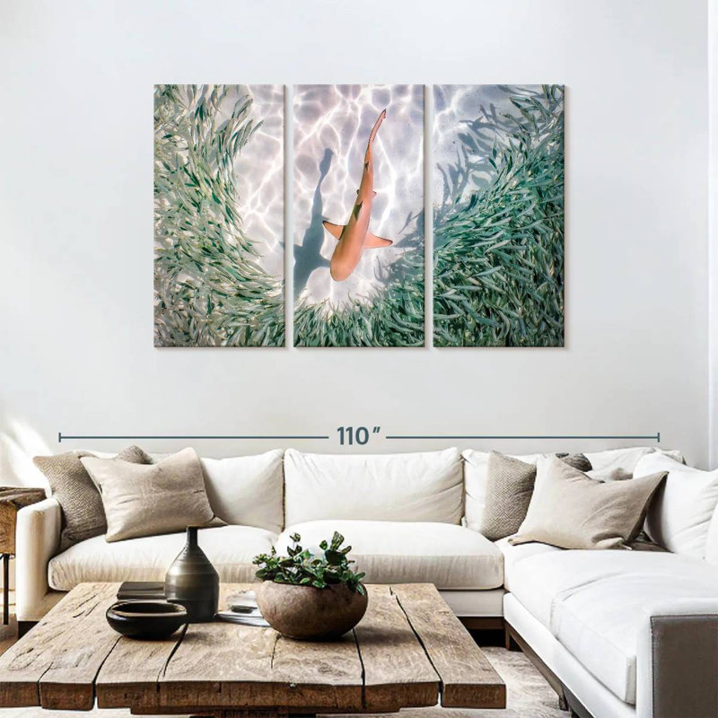Brampt Baby Blacktip Reef Shark, 48" H x 74" W