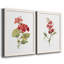Écarlate géranium - ensemble de 2 reproductions d'art-2102043222-2102043220-2102043223