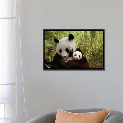 « géant panda gongzhu et cub », reproduction de photo sur toile