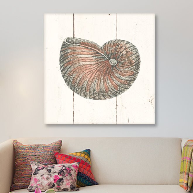 Picture Perfect International Shell Sketches I Shiplap Giclee Stretched Canvas Wall Art, Size: 18 x 18