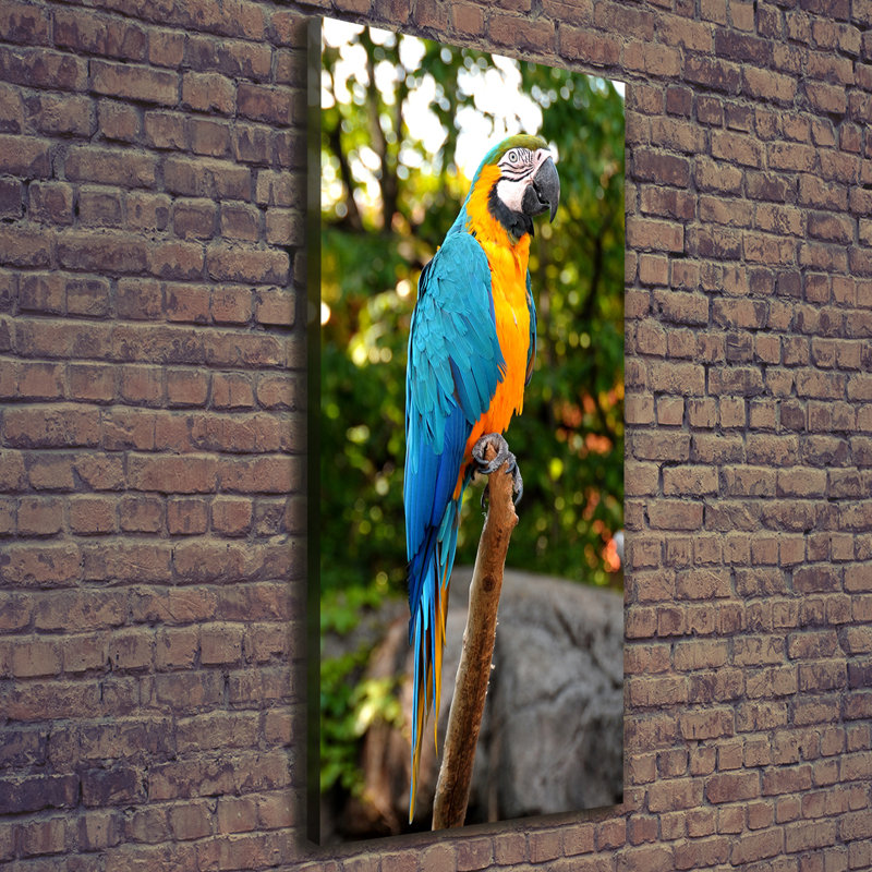Ara Parrot - Wrapped Canvas Print