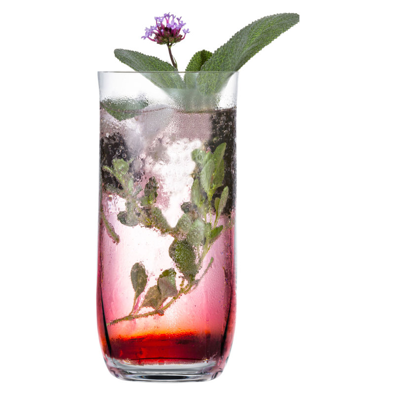 Elbys 460ml Highball Glass Set