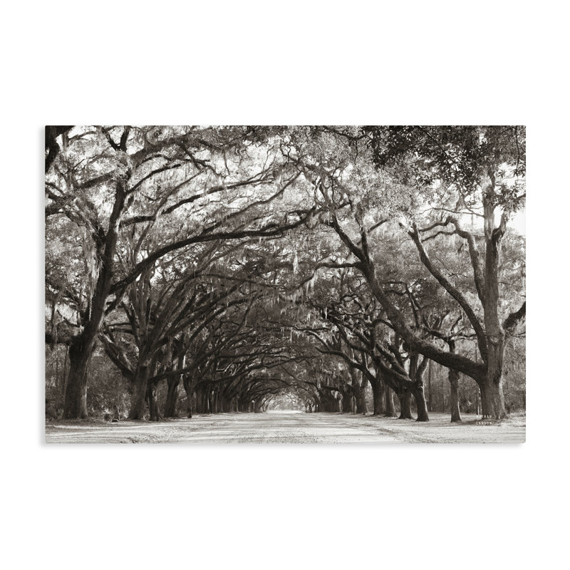 Toile avec tunnel Georgia Georgia, par Nathan Larson, H 16 po x l 24 po
