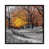 Black Framed Canvas