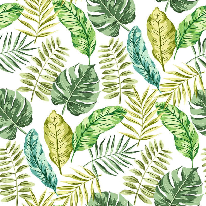 Rouleau de papier peint adhésif à feuilles tropicales L 8,5 pi x l 24 po Puig