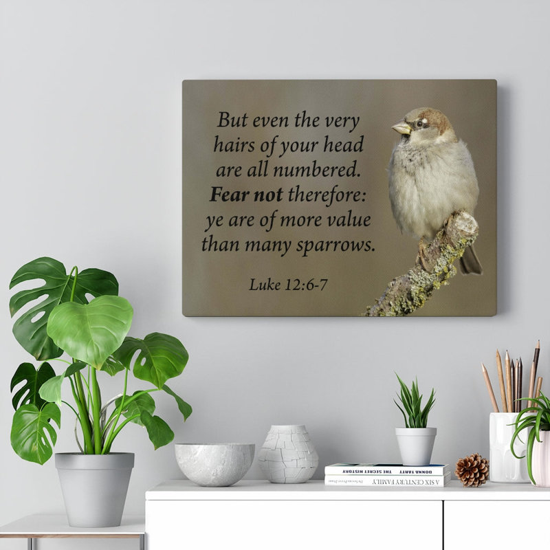 Value Luke 12:6 - Wrapped Canvas Print, 46cm H x 61cm W