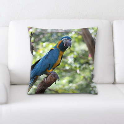 Coussin Ashliek