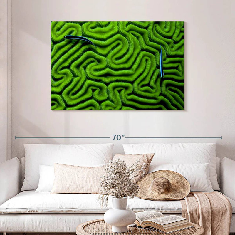 Corail vert Brampt, H 30 po x l 45 po