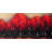 " Red Dark Trees "