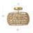 Gotthardt 2-Light Bulbs Retro Farmhouse Rattan Boho Dimmable Flush Mount Light Fixtures