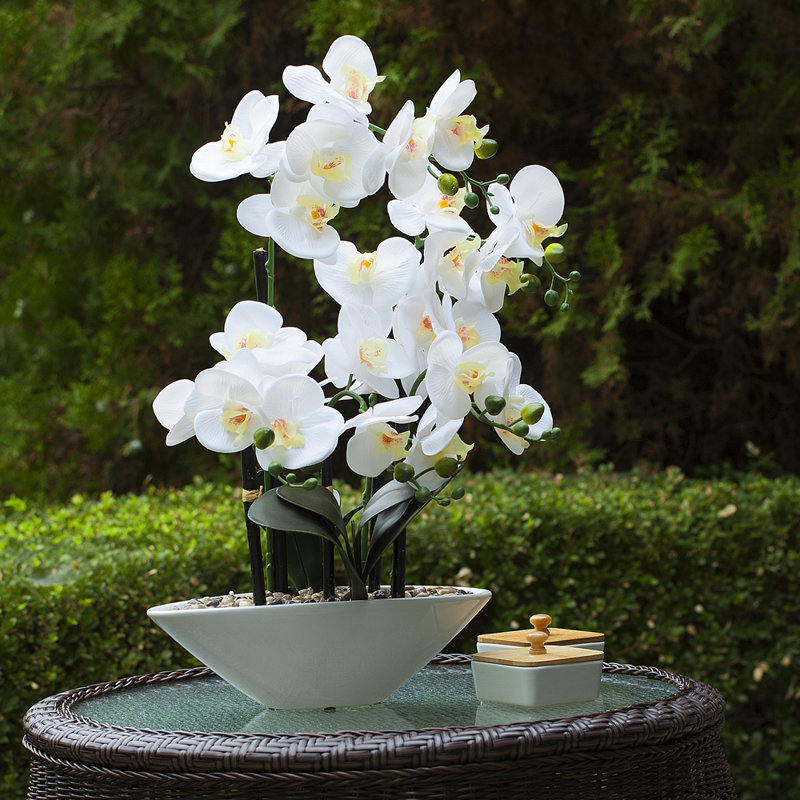 Natural Fibres Orchids Arrangement in Pot
