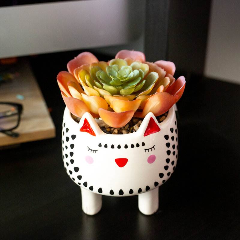 Agave en céramique pour chat en pot de fleurs, Blanc