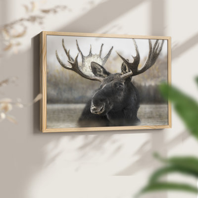 Moose Spa - reproduction encadrée - réarmable