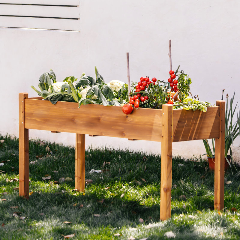 Archbald 49.5" W Solid Cedar Wood Raised Garden Bed with Liner, Brown