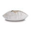 Bellingham Square Pillow Cover & Insert