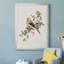 Spring Song Pine Grosbeak - Peinture sur toile encadrée-97612958-97612959