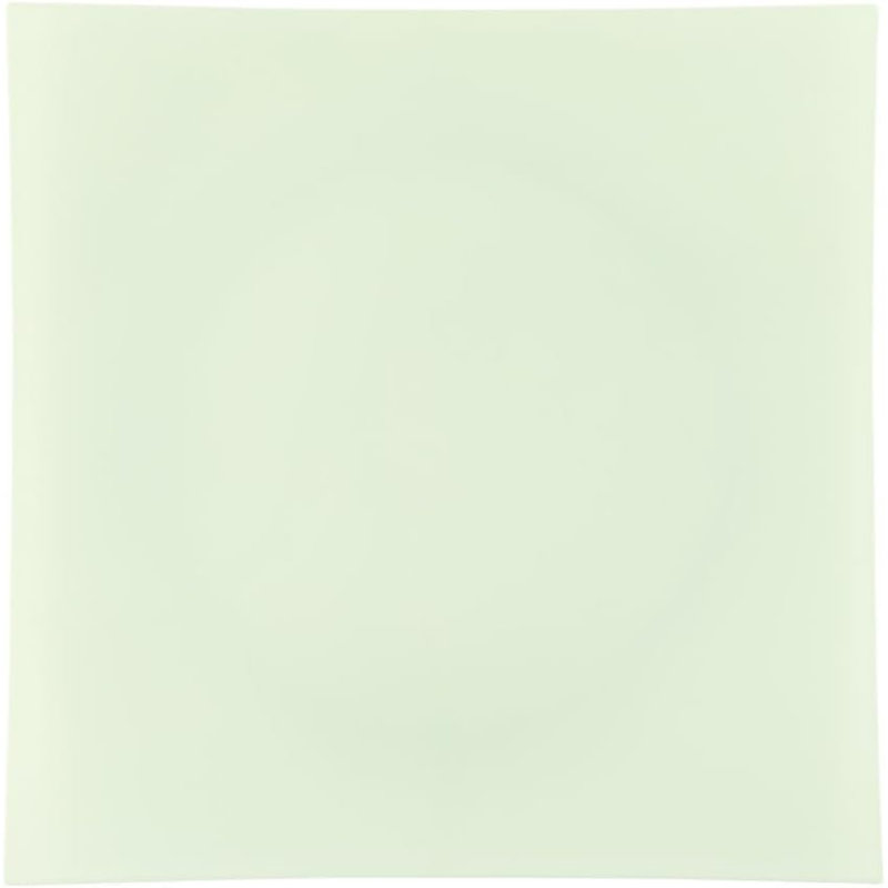 Disposable Dinner Plate, Set of 16