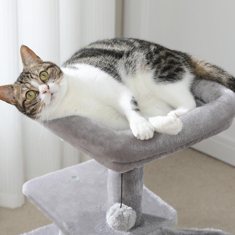 Arbre à chat d'intérieur compact, Gris