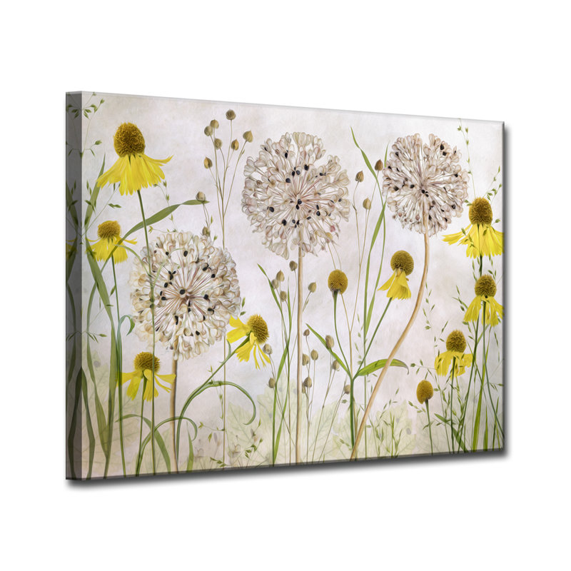 «Alliums and Heleniums», reproduction d'impression sur toile, H 20 po x l 30 po x P 1,5 po