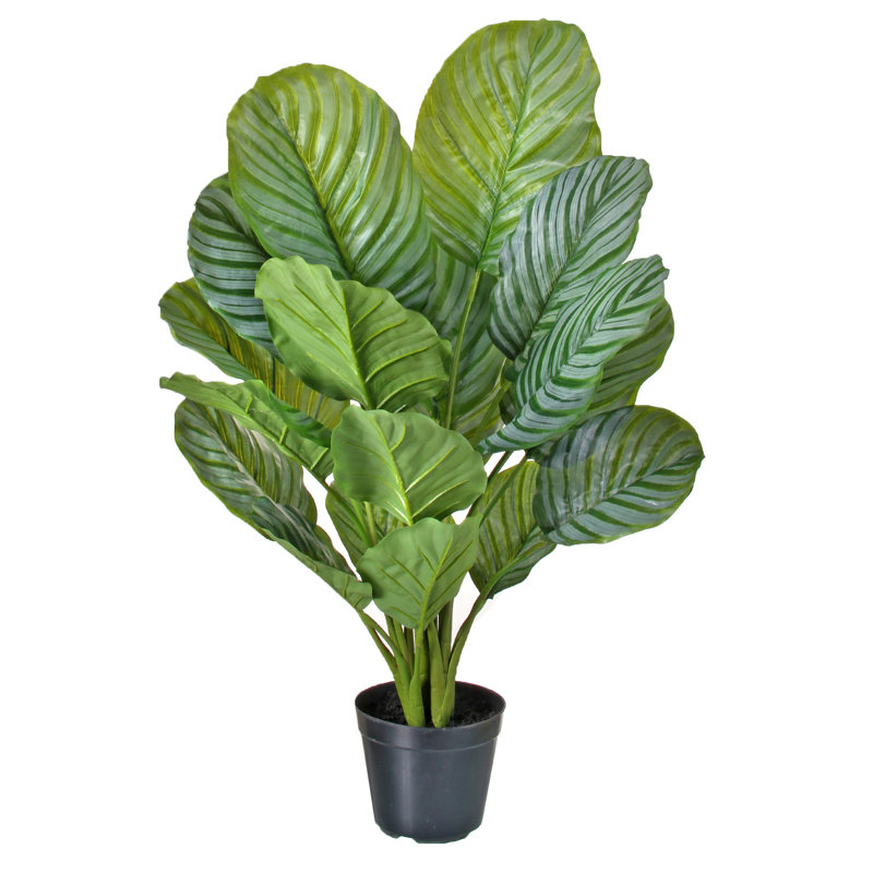 34 po (s) Calathea en pot plante artificielle et arbres