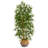 64'' Faux Bamboo Tree in Planter-1946822588