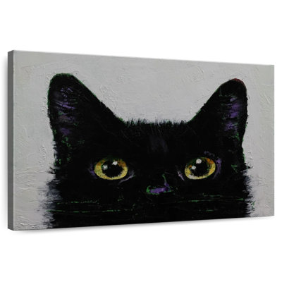 Chat noir Brampt furtivement