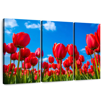 Harnek Meadow Of Red Tulips
