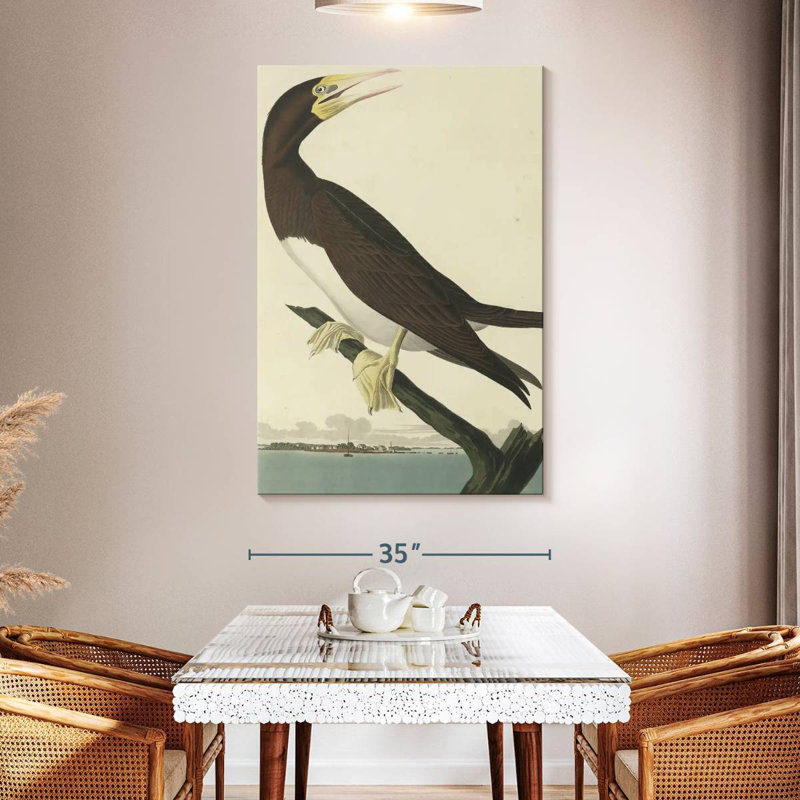 Brampt Booby Gannet, 51" H x 34" W