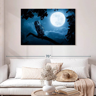 Brampt Watchful Night Owl