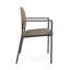 Chaise d'invité Chat Chat-98671299-98882108