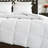 All Season Polyester Down Alternative Comforter-30521701