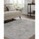 Boltri Traditional Machine Woven Area Rug