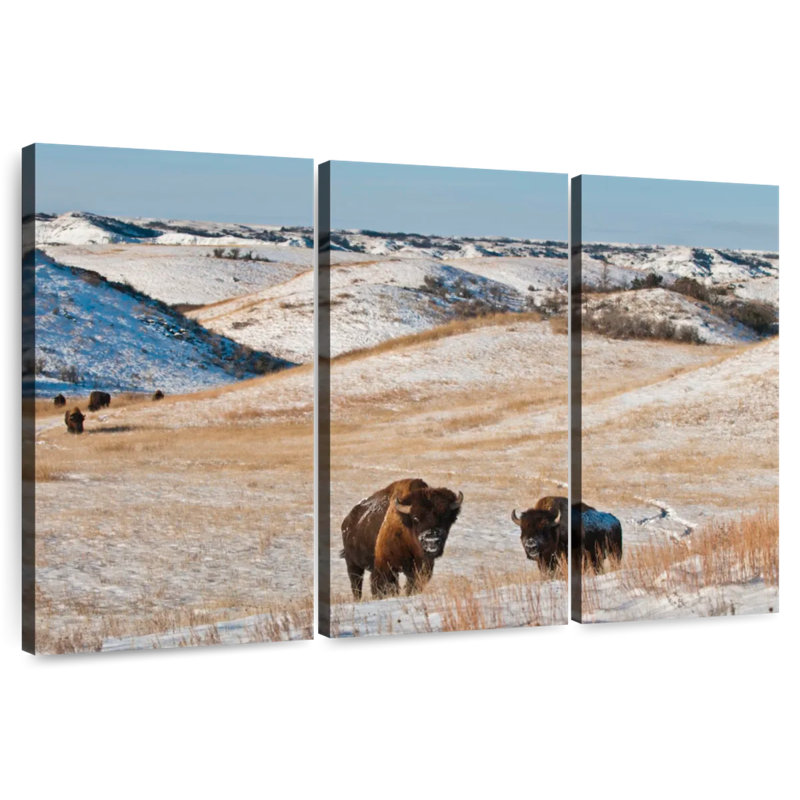 Alvord Buffalo In Winter, 28" H x 45" W