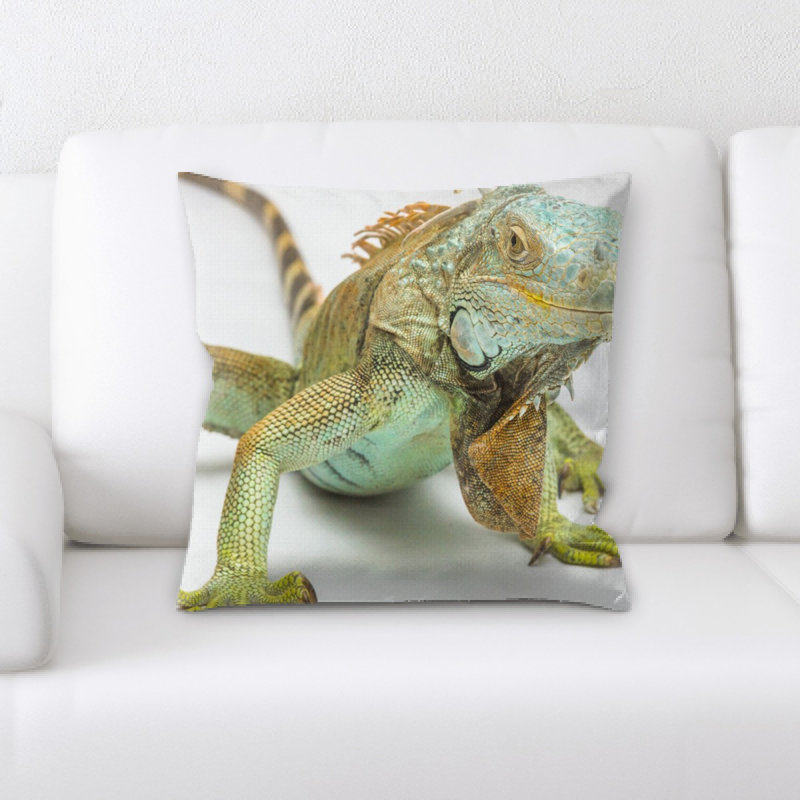 Coussin iguane