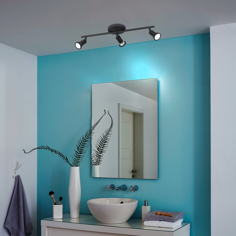 Ensemble de rail d'éclairage 3 lumières 20,5 "Maywood