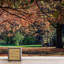 Murale parc d'automne-88769913