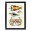 East Indies Lobster, Fish & Crab XLVII by Louis Renard - Picture Frame Graphic Art Print on MDF-55537059-55537060