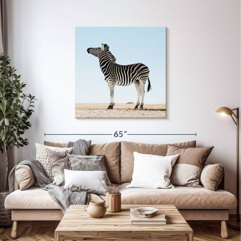 Brampt Moorreesburg Zebra