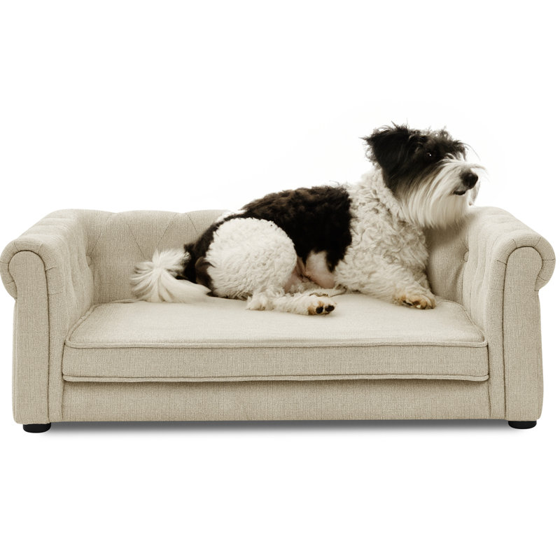 Lit pour chien Modern