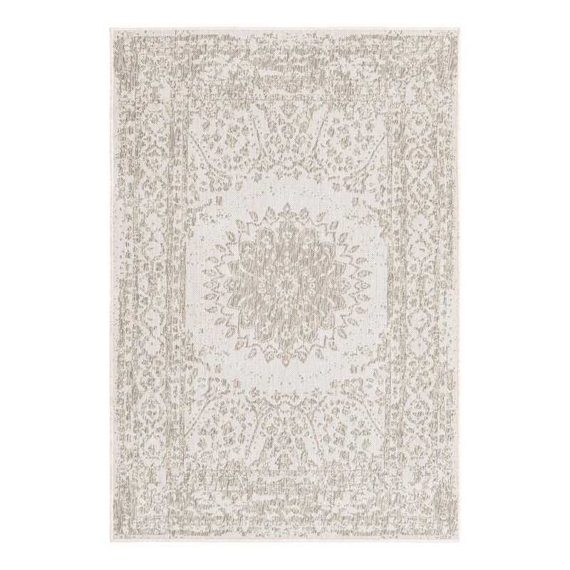 Ornate Lamotte Indoor/Outdoor Area Rug, Rectangle 4'1" x 6'1"