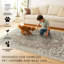 Tapis brun My Magic Carpet® Parviz - 2,5 pi x 10 pi