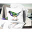 Oreiller Animal Gould Finch