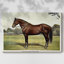 Animals Landscape Series CCVIII-1412867830