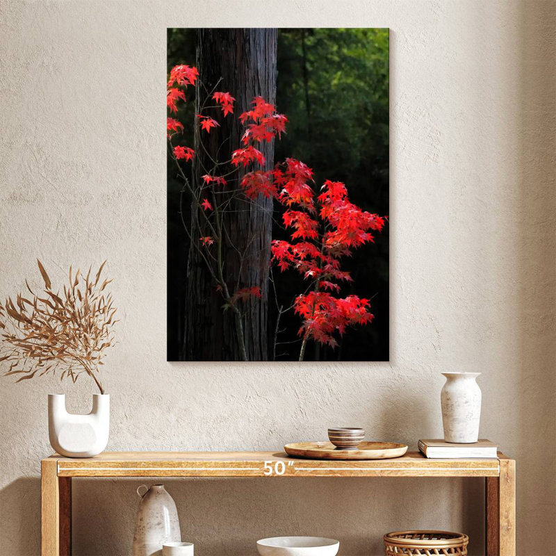 Harnek Japanese Maple Autumn, 30" H x 20" W