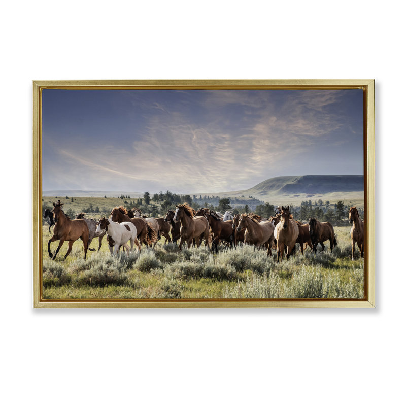 «Bustling Horse Herd in Nature», art mural encadré sur toile flottante, design par PHBurchett, H 21 po x l 31 po