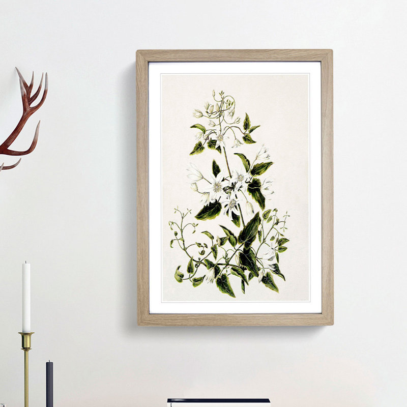Clematis Flowers by Sarah Featon - Picture Frame Painting Print, 65cm H x 48cm W x 2cm D, Oak Framed