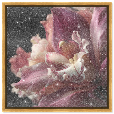 Velvet Labellum Print by Oliver Gal