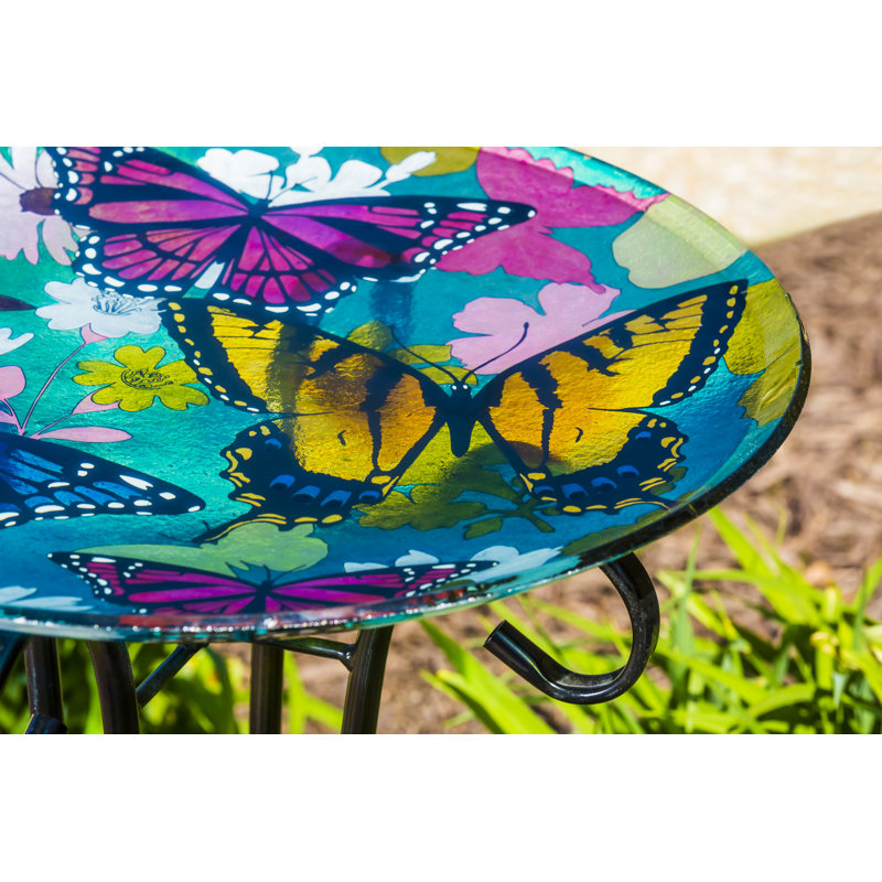 Glass Single Tier Birdbath