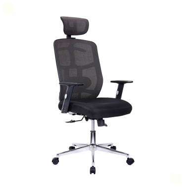 Shekhar Mesh Task Chair