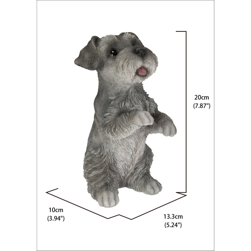 Schnauzer miniature assis